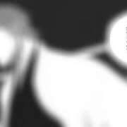 ヒメ日記 2025/11/05 19:00 投稿 ラムネ ティンカーベル