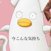 ヒメ日記 2025/11/18 16:55 投稿 ラムネ ティンカーベル