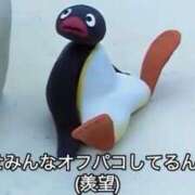 ヒメ日記 2025/11/21 19:15 投稿 ラムネ ティンカーベル