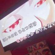 ヒメ日記 2025/11/23 19:15 投稿 ラムネ ティンカーベル