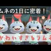 ヒメ日記 2025/12/30 17:15 投稿 ラムネ ティンカーベル