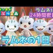 ヒメ日記 2026/01/24 03:15 投稿 ラムネ ティンカーベル