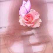 ヒメ日記 2025/04/18 10:47 投稿 米倉せしる e女商事 池袋店