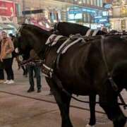 ヒメ日記 2026/01/16 08:04 投稿 なぎさ 神戸3040（神戸サーティフォーティ）