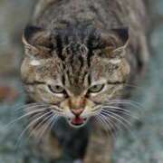 ヒメ日記 2025/07/08 13:19 投稿 りま 西川口こんにちわいふ（シンデレラグループ）