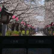 ヒメ日記 2025/04/02 16:52 投稿 りこ 熊本ちゃんこ　八代店