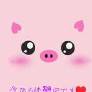 ヒメ日記 2025/04/04 12:09 投稿 りこ 熊本ちゃんこ　八代店