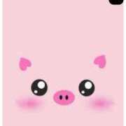 ヒメ日記 2025/04/07 07:49 投稿 りこ 熊本ちゃんこ　八代店