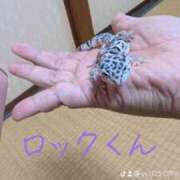 ヒメ日記 2025/05/20 11:52 投稿 りこ 熊本ちゃんこ　八代店