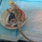 ヒメ日記 2025/06/04 23:30 投稿 りこ 熊本ちゃんこ　八代店