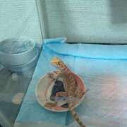 ヒメ日記 2025/06/21 14:02 投稿 りこ 熊本ちゃんこ　八代店