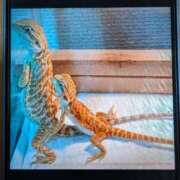 ヒメ日記 2025/06/23 19:39 投稿 りこ 熊本ちゃんこ　八代店