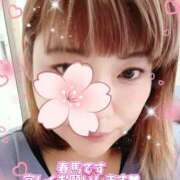 ヒメ日記 2025/04/03 08:35 投稿 春馬【はるま】 丸妻 西船橋店