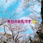 ヒメ日記 2025/04/08 18:41 投稿 春馬【はるま】 丸妻 西船橋店