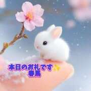 ヒメ日記 2025/04/10 17:20 投稿 春馬【はるま】 丸妻 西船橋店