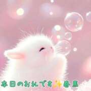 ヒメ日記 2025/04/11 18:11 投稿 春馬【はるま】 丸妻 西船橋店