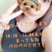 ヒメ日記 2025/04/14 07:18 投稿 春馬【はるま】 丸妻 西船橋店