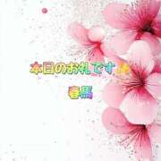 ヒメ日記 2025/04/14 17:43 投稿 春馬【はるま】 丸妻 西船橋店