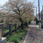 ヒメ日記 2025/04/16 20:45 投稿 春馬【はるま】 丸妻 西船橋店