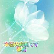 ヒメ日記 2025/04/22 19:41 投稿 春馬【はるま】 丸妻 西船橋店