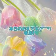 ヒメ日記 2025/04/25 17:04 投稿 春馬【はるま】 丸妻 西船橋店