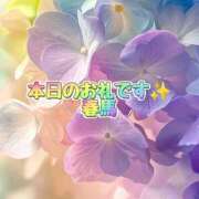 ヒメ日記 2025/04/30 18:27 投稿 春馬【はるま】 丸妻 西船橋店