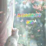 ヒメ日記 2025/05/09 09:37 投稿 春馬【はるま】 丸妻 西船橋店