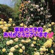 ヒメ日記 2025/05/12 00:15 投稿 春馬【はるま】 丸妻 西船橋店