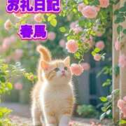 ヒメ日記 2025/05/26 18:35 投稿 春馬【はるま】 丸妻 西船橋店