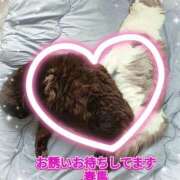 ヒメ日記 2025/06/08 12:21 投稿 春馬【はるま】 丸妻 西船橋店