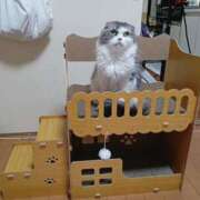 ヒメ日記 2025/06/26 13:34 投稿 春馬【はるま】 丸妻 西船橋店