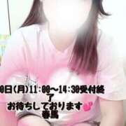 ヒメ日記 2025/06/29 11:19 投稿 春馬【はるま】 丸妻 西船橋店