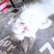 ヒメ日記 2025/07/09 13:57 投稿 春馬【はるま】 丸妻 西船橋店