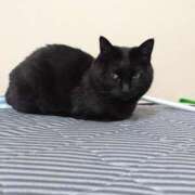 ヒメ日記 2025/07/15 11:24 投稿 春馬【はるま】 丸妻 西船橋店