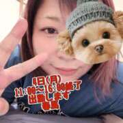 ヒメ日記 2025/08/01 15:13 投稿 春馬【はるま】 丸妻 西船橋店