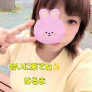 ヒメ日記 2025/09/24 07:42 投稿 春馬【はるま】 丸妻 西船橋店