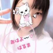 ヒメ日記 2025/10/06 07:44 投稿 春馬【はるま】 丸妻 西船橋店