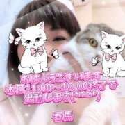 ヒメ日記 2025/10/07 07:23 投稿 春馬【はるま】 丸妻 西船橋店