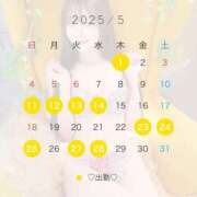 ヒメ日記 2025/05/06 00:00 投稿 リリナ 千葉美女革命