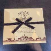 ヒメ日記 2025/06/28 17:51 投稿 マイン 千葉美女革命