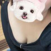 ヒメ日記 2025/04/03 01:53 投稿 かのん デリヘルパラダイス