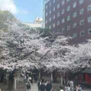 ヒメ日記 2026/04/01 21:46 投稿 涼子 昼顔妻 五反田店