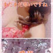 ヒメ日記 2025/04/03 17:30 投稿 東 愛華 五十路マダム金沢店