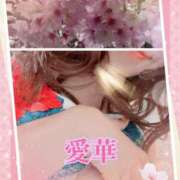 ヒメ日記 2025/04/05 00:12 投稿 東 愛華 五十路マダム金沢店