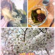 ヒメ日記 2025/04/05 19:16 投稿 東 愛華 五十路マダム金沢店