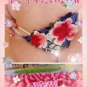 ヒメ日記 2025/04/06 12:26 投稿 東 愛華 五十路マダム金沢店