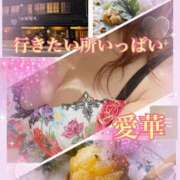 ヒメ日記 2025/04/07 18:26 投稿 東 愛華 五十路マダム金沢店