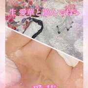 ヒメ日記 2025/04/08 12:28 投稿 東 愛華 五十路マダム金沢店