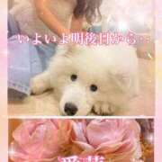 ヒメ日記 2025/04/08 23:58 投稿 東 愛華 五十路マダム金沢店