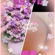 ヒメ日記 2025/04/09 21:26 投稿 東 愛華 五十路マダム金沢店